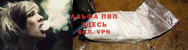 крисы Бугульма