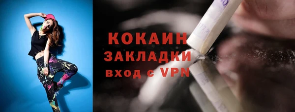 хмурый Бородино