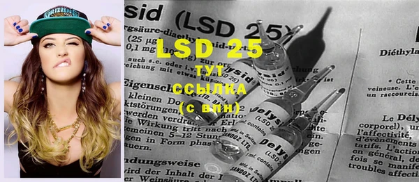 крисы Бугульма