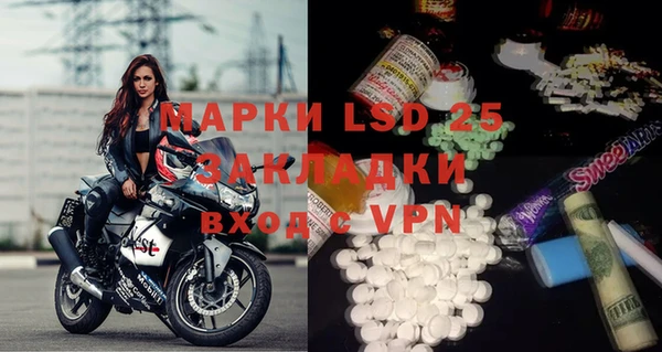 хмурый Бородино
