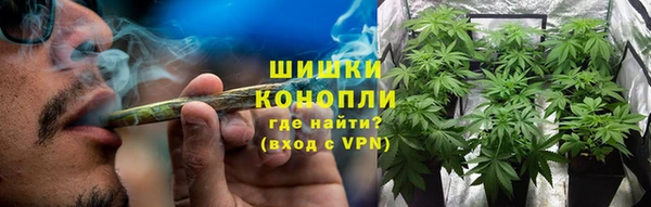 хмурый Бородино