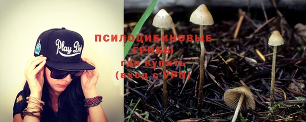хмурый Бородино
