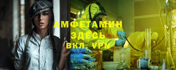 хмурый Бородино
